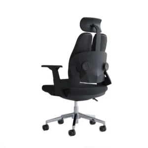 Ergonomic Office Chair with Headrest| DT-910
